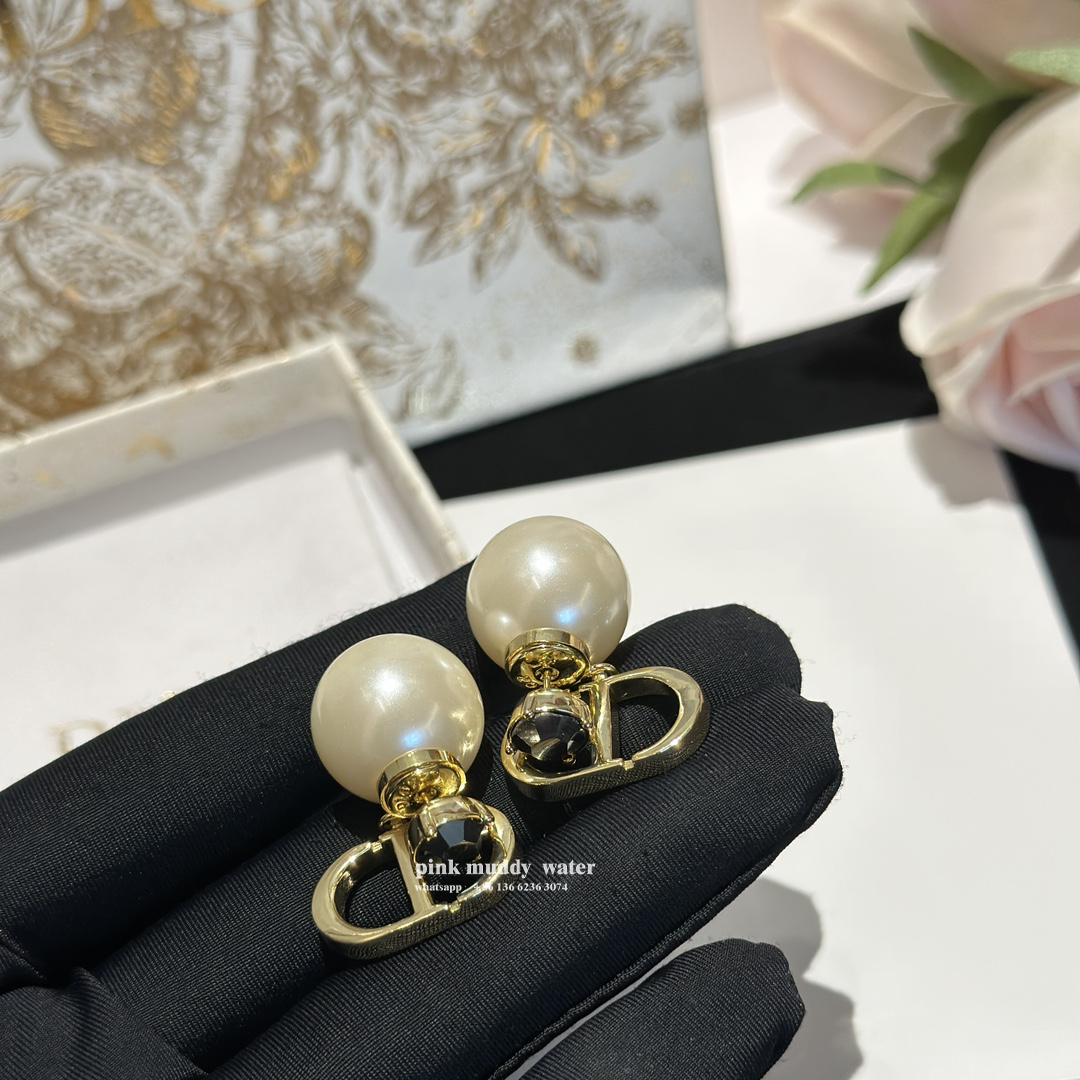 Dior Earrings
