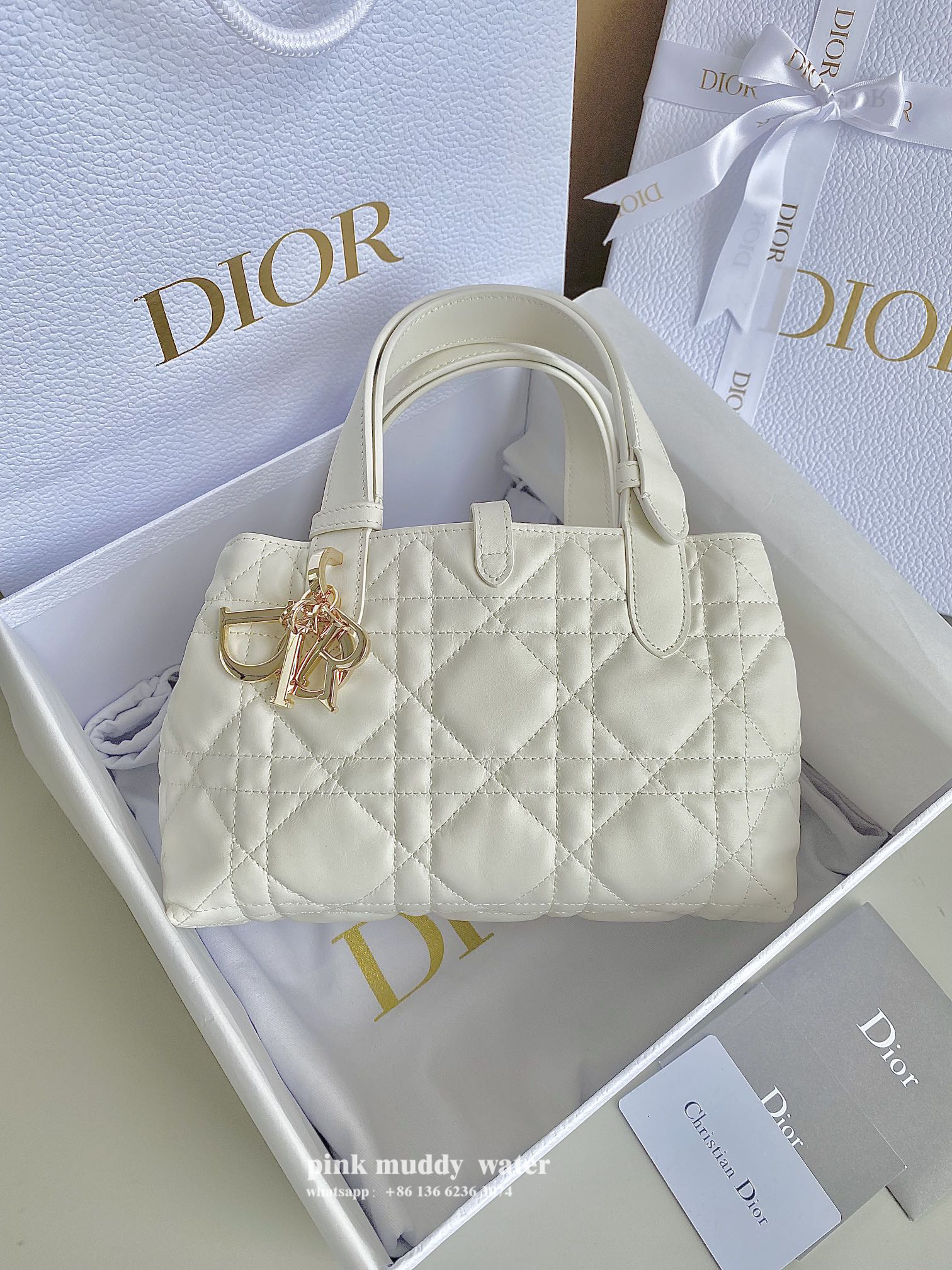 Dior Bag