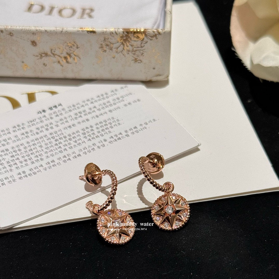 Dior Earrings