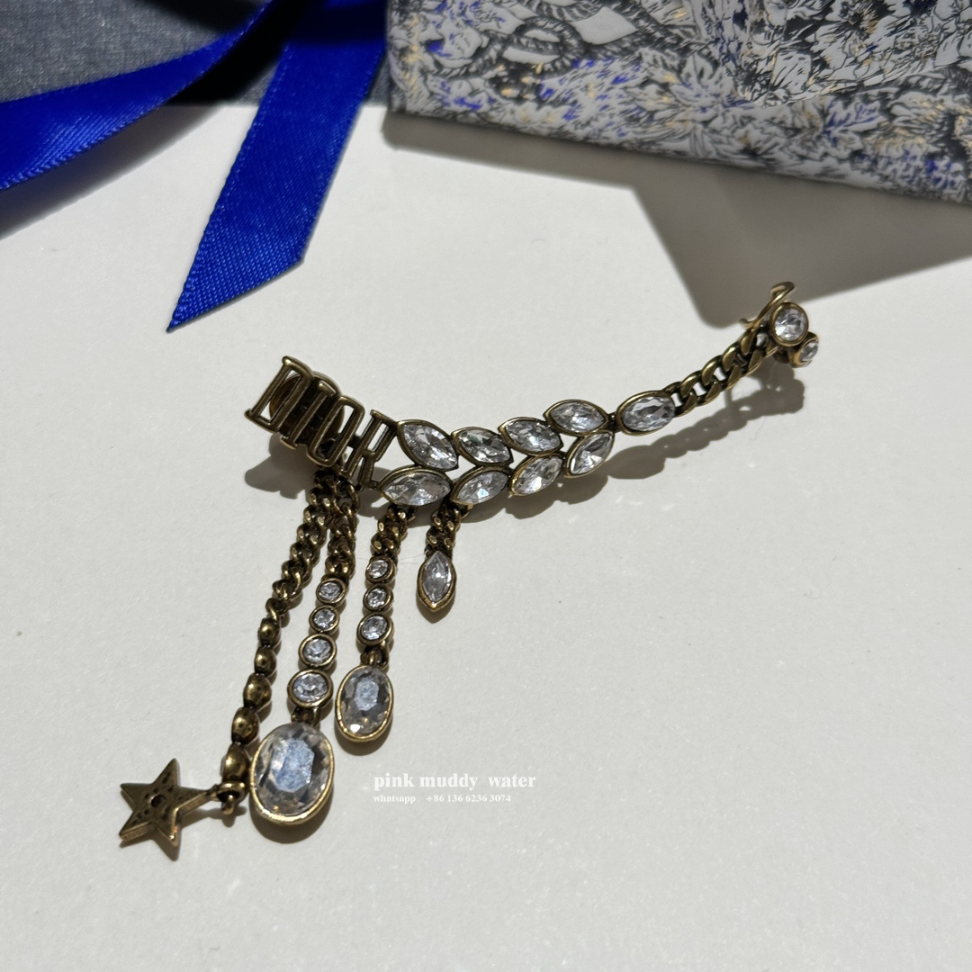 Dior Earrings
