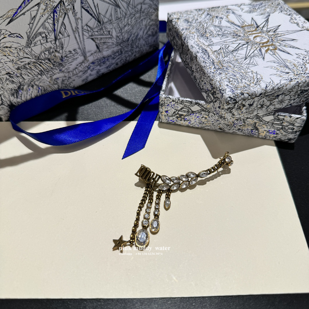 Dior Earrings