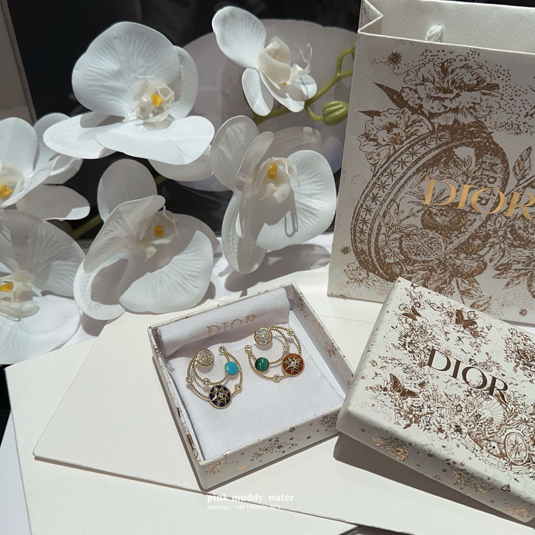 Dior Earrings