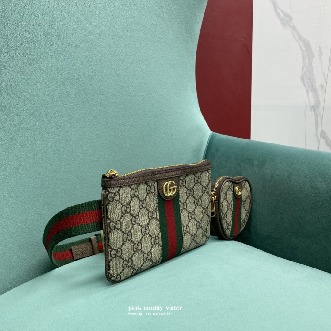 Gucci Bag