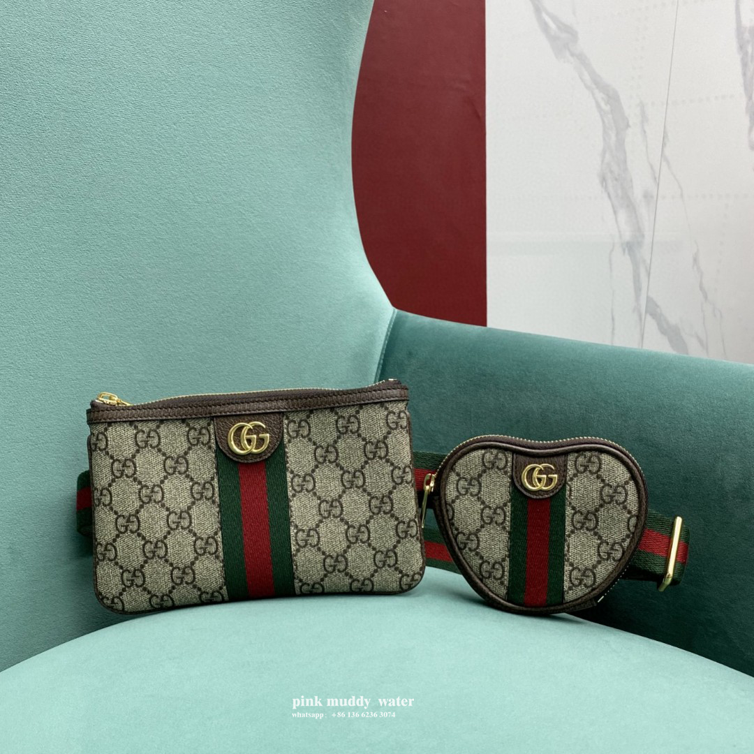 Gucci Bag