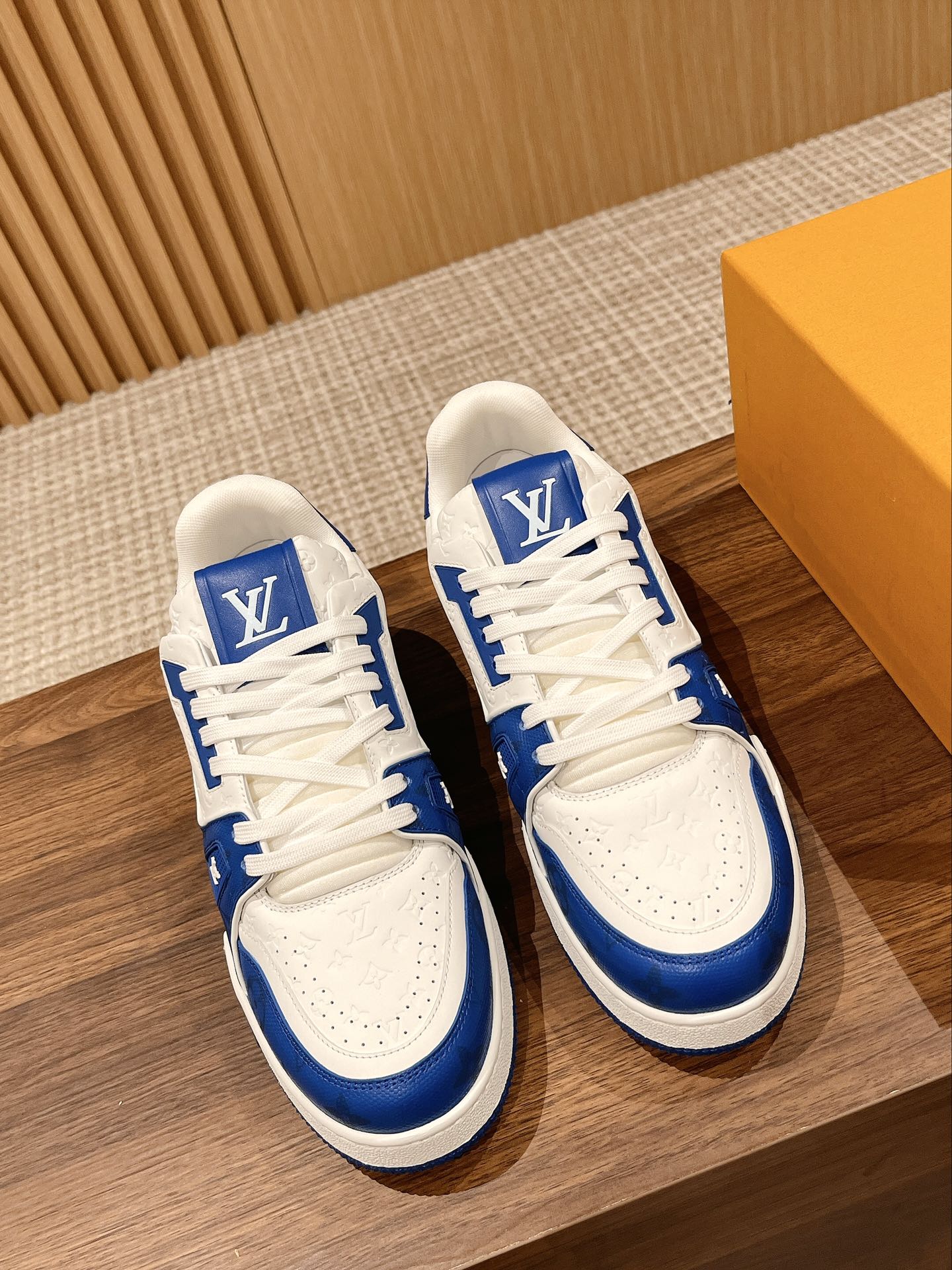 Louis Vuitton Shoes