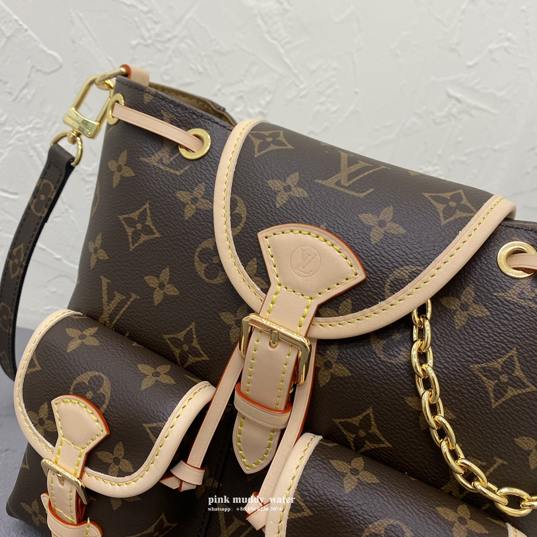 Louis Vuitton Bag