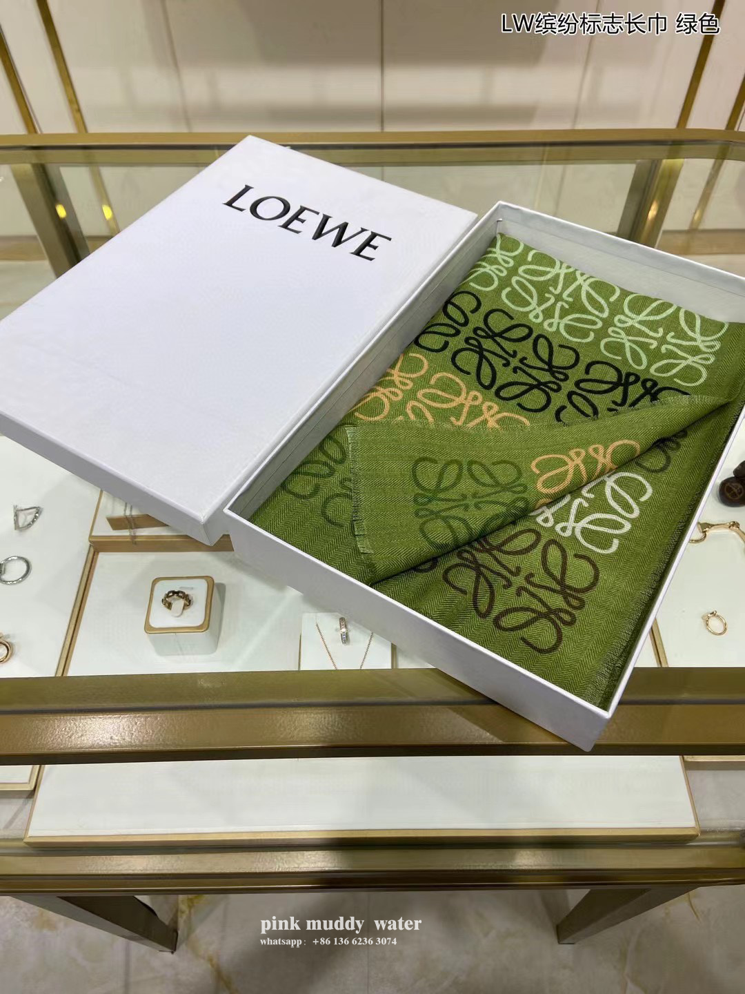 LOEWE Scarves
