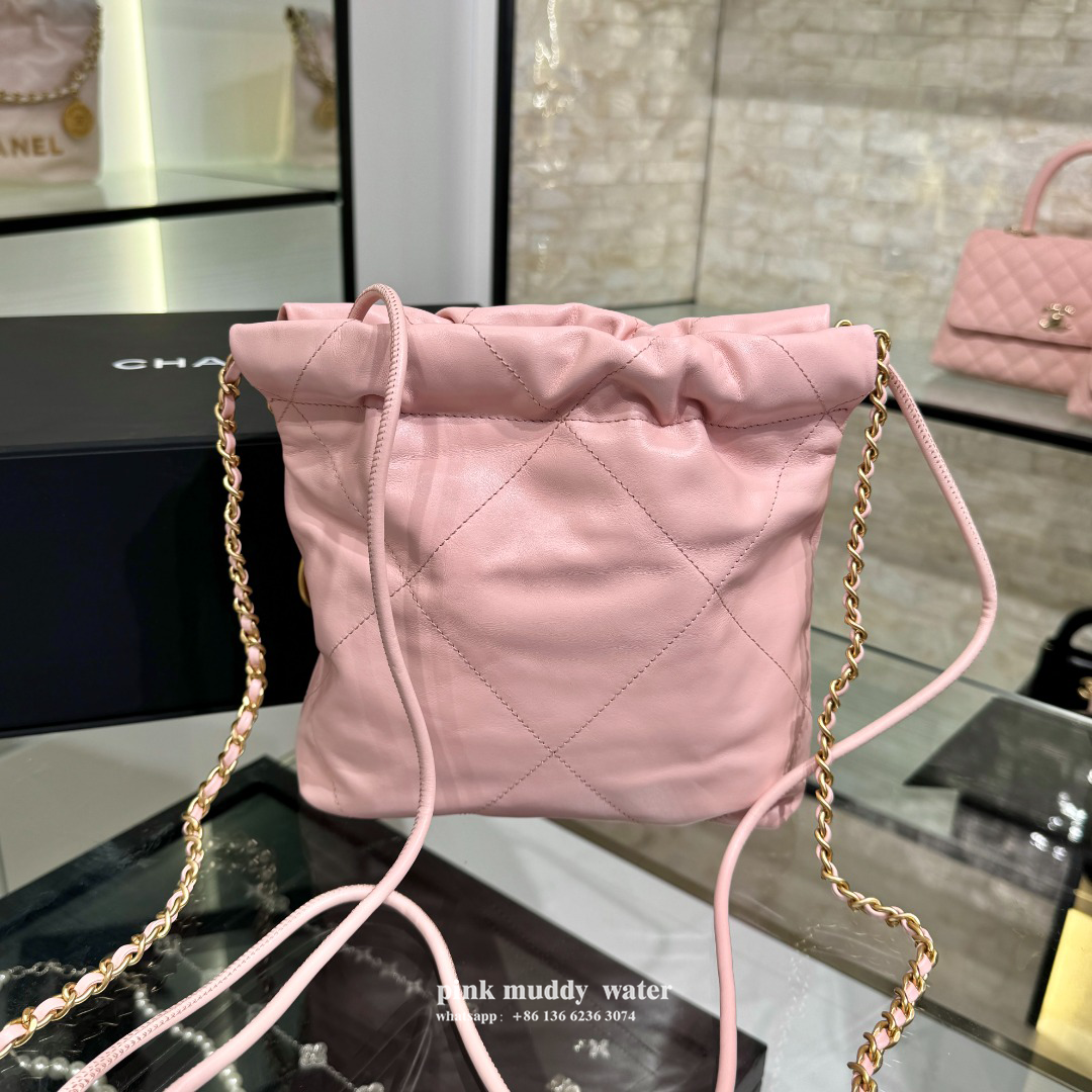 CHANEL 22Bag 23S Crossbody Bag