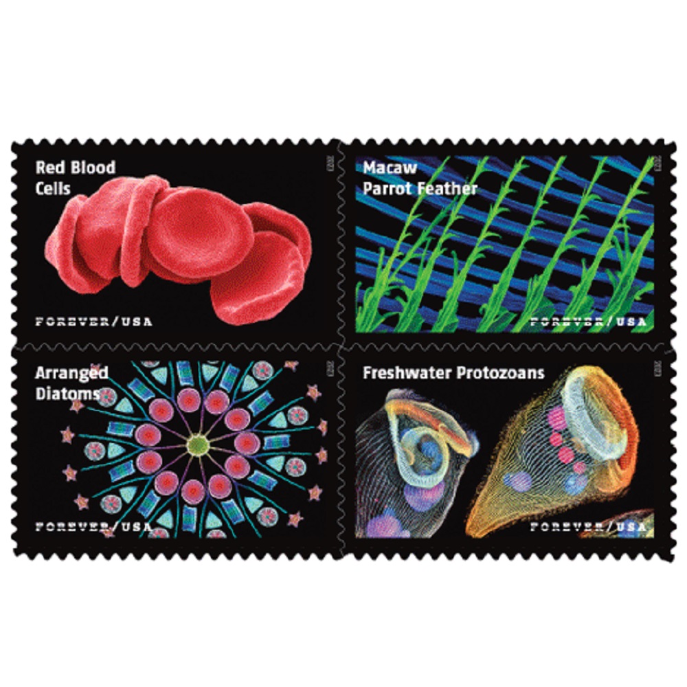 Life Magnified 2023 5 Sheets / 100 Pcs StampsGood