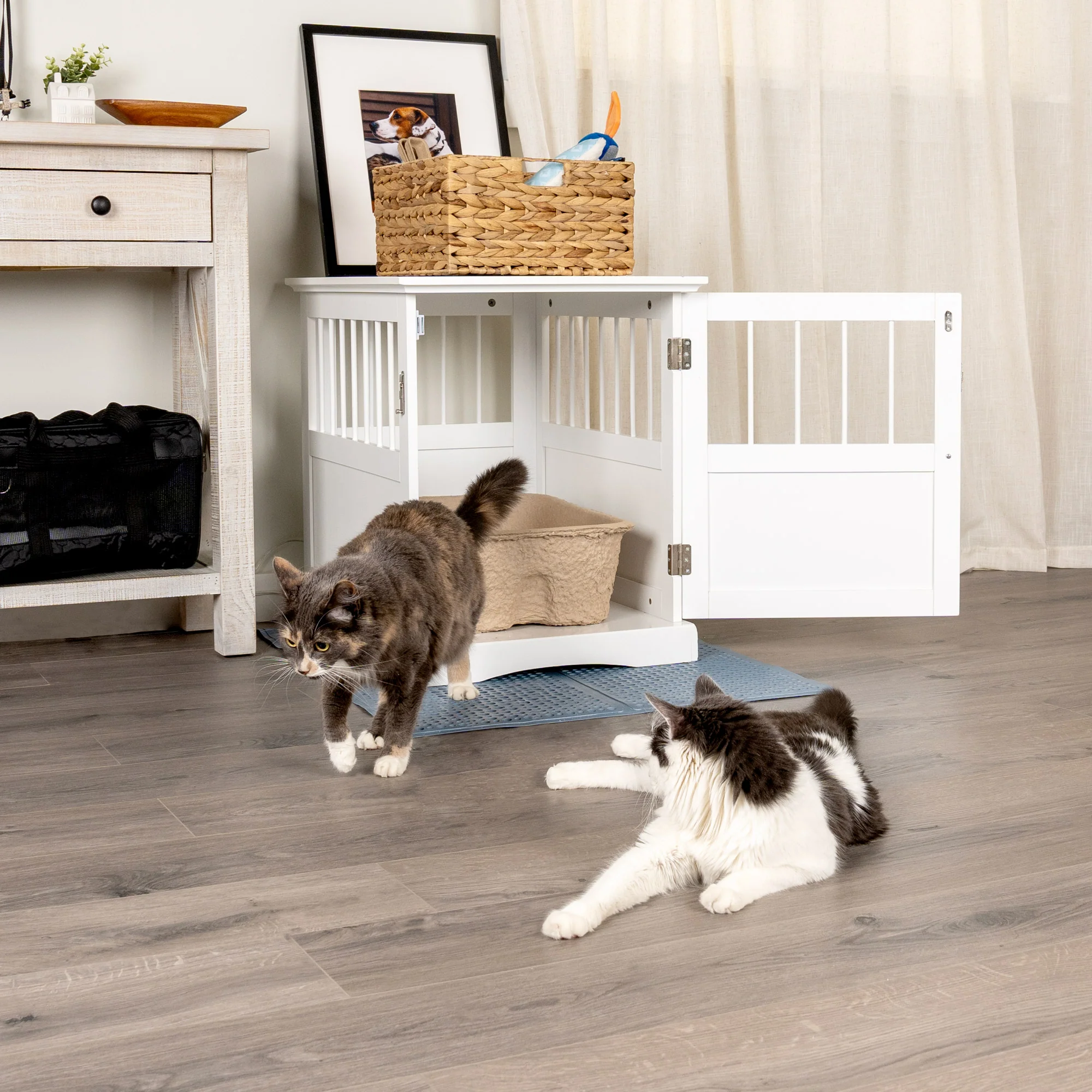 Kitty Sift Deluxe Disposable Litter Box. Jumbo. 2Pack Best Store