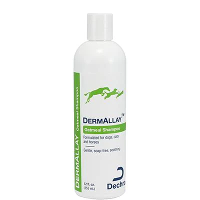 DermAllay Oatmeal Shampoo - Best Store