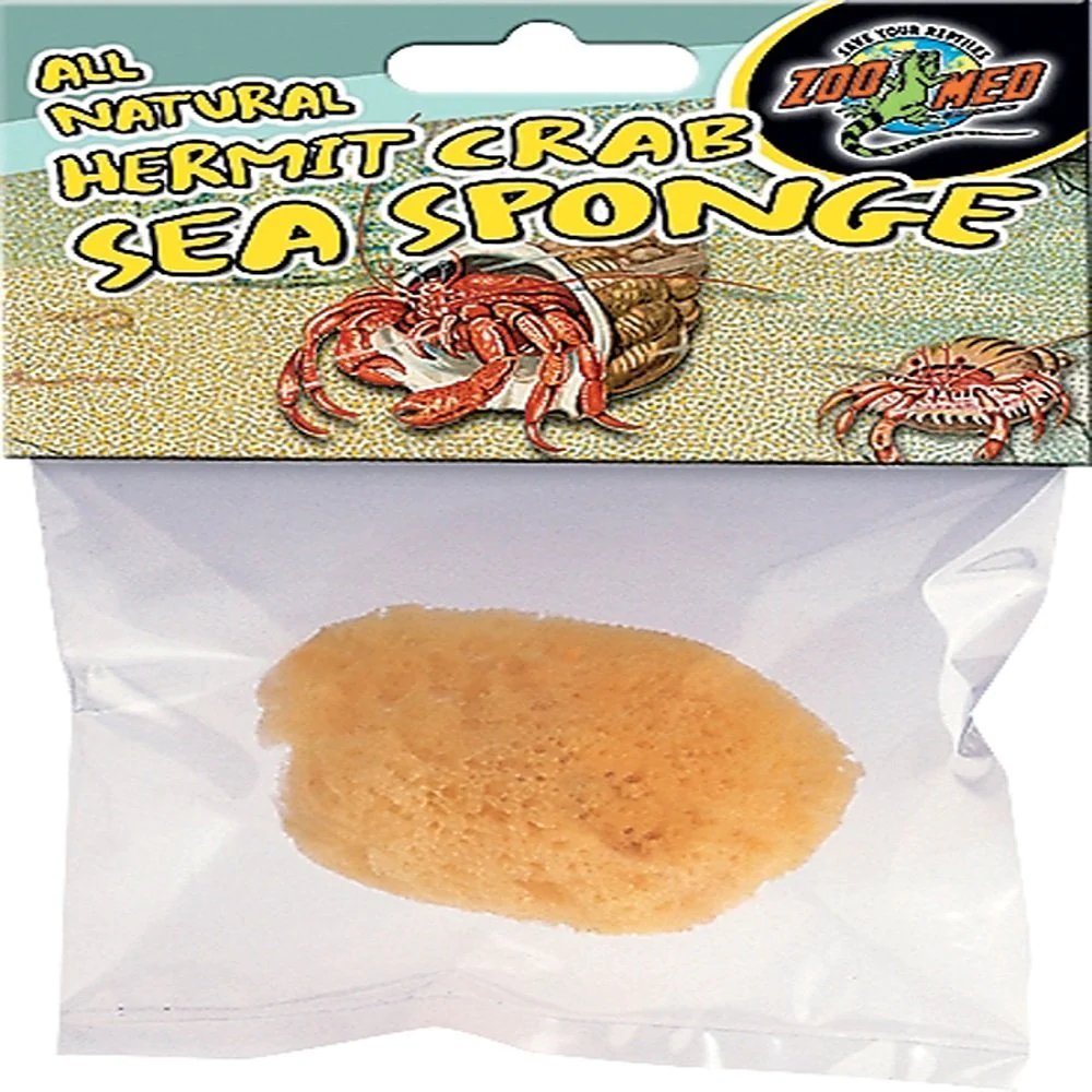 Zoo Med All Natural Hermit Crab Sea Sponge - Best Store