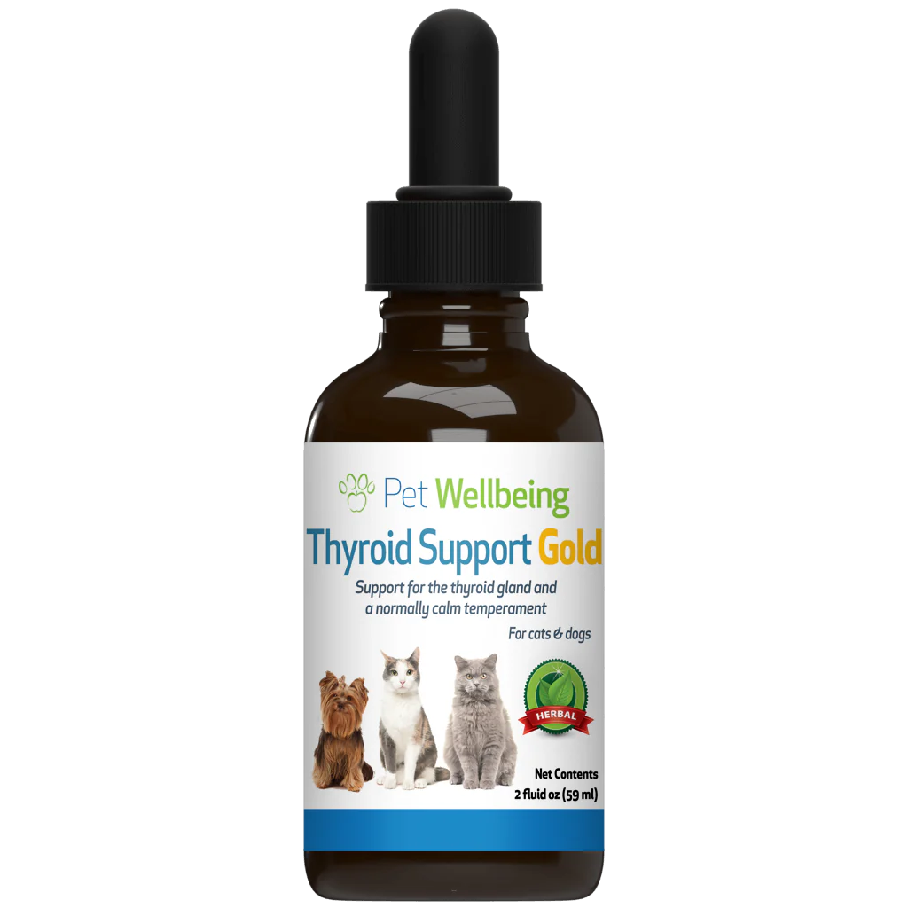 Thyroid Support Gold for Cat Hyperthyroid Best Store