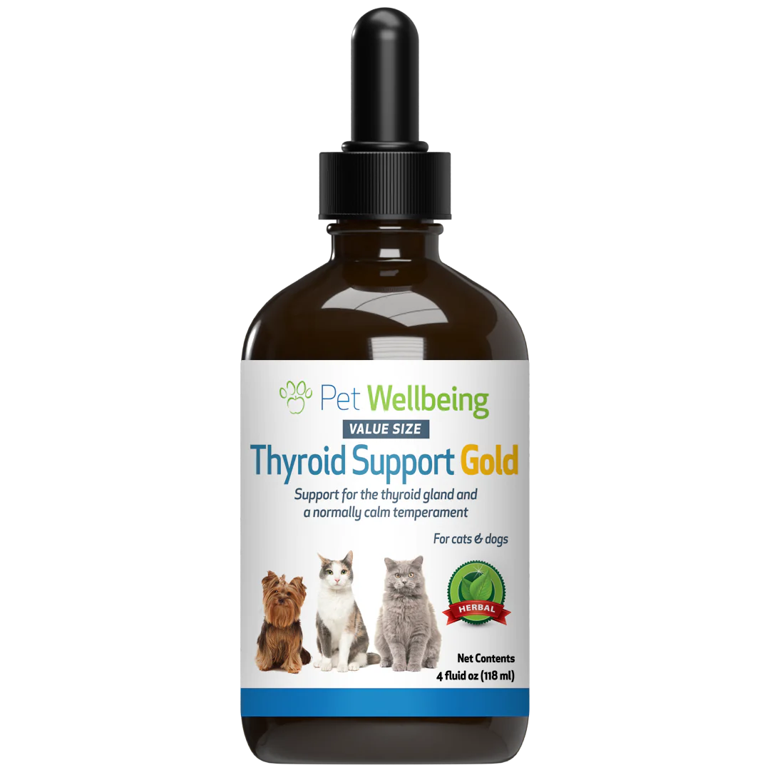 Thyroid Support Gold for Cat Hyperthyroid Best Store