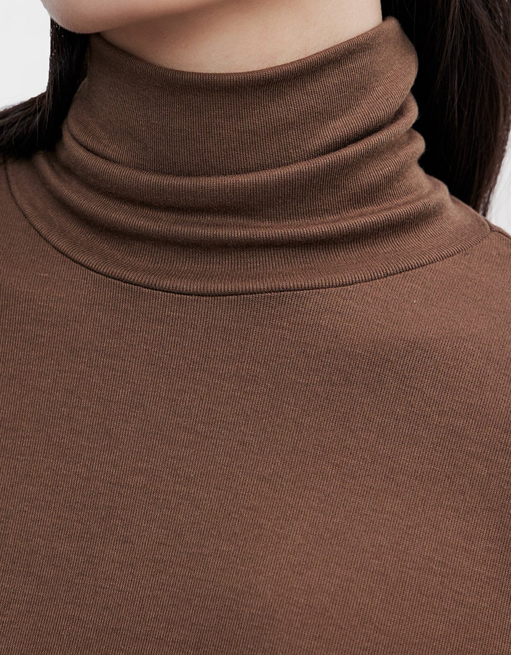 Minimalistic Solid Turtle Neck Fitted Top