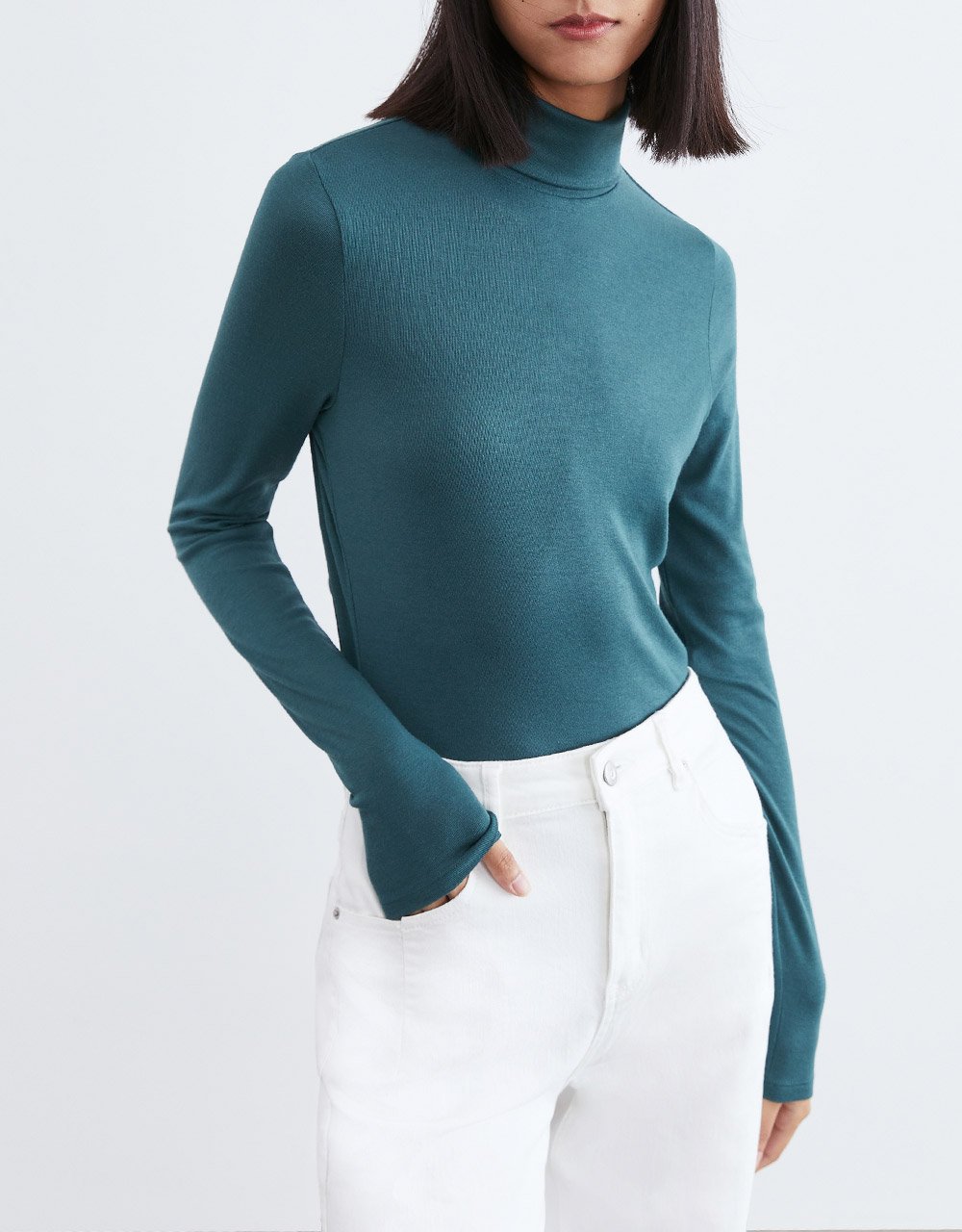 Minimalistic Solid Turtle Neck Fitted Top