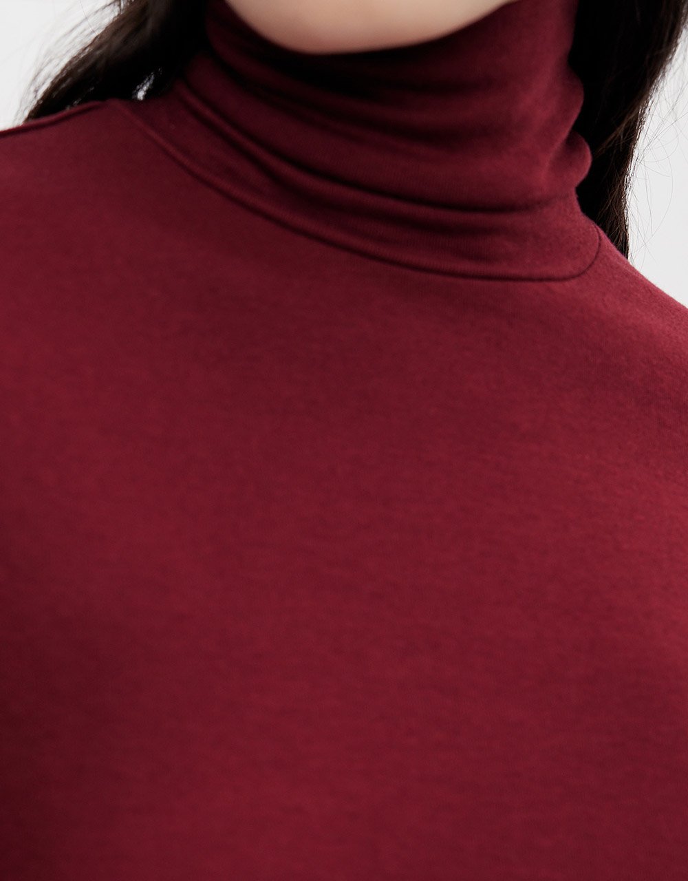 Minimalistic Solid Turtle Neck Fitted Top