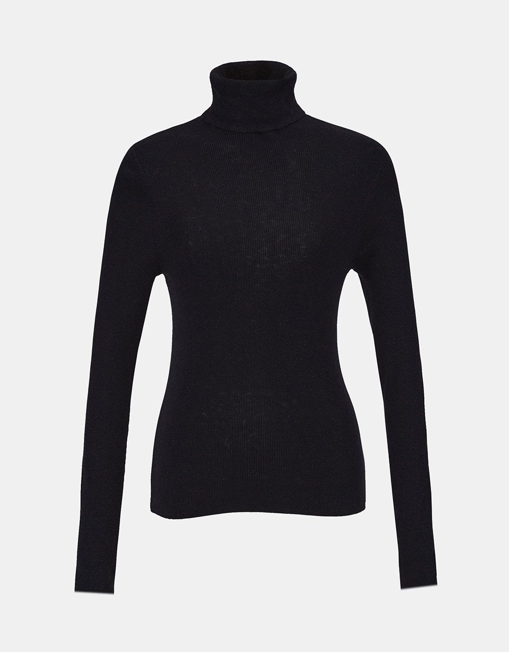 Minimalistic Turtle Neck Fitted Knit Top