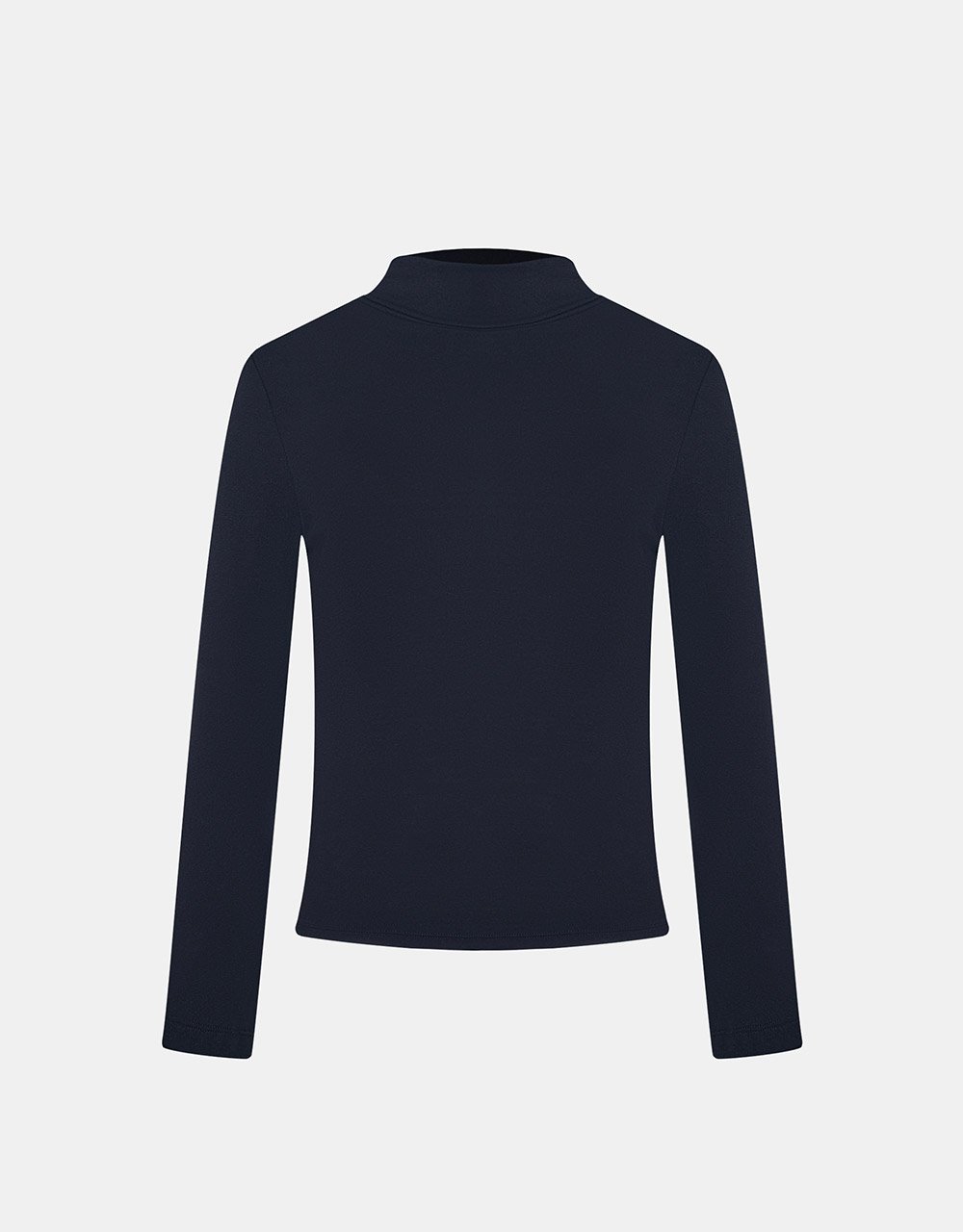 Minimalistic Solid Turtle Neck Fitted Top