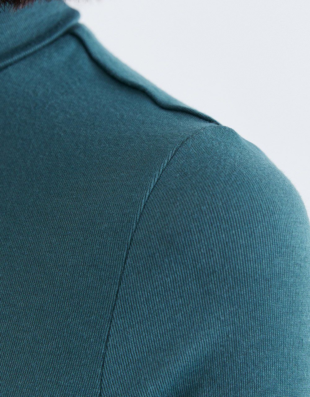 Minimalistic Solid Turtle Neck Fitted Top