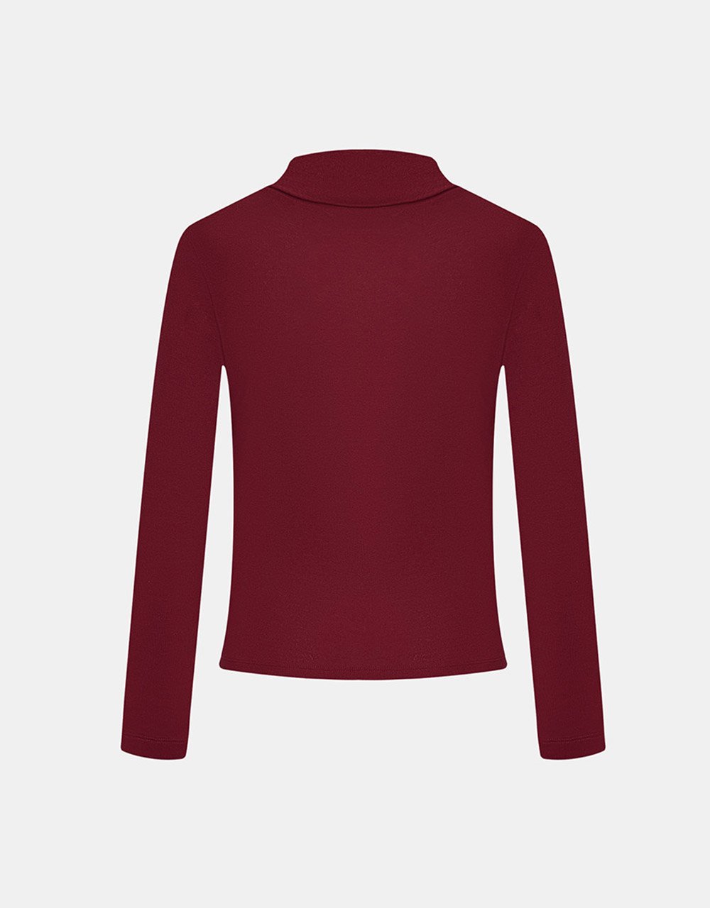 Minimalistic Solid Turtle Neck Fitted Top