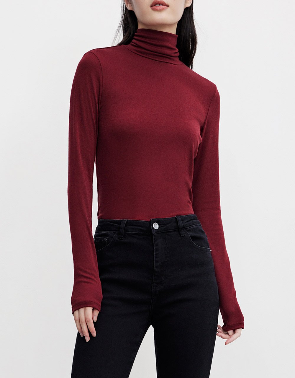 Minimalistic Solid Turtle Neck Fitted Top