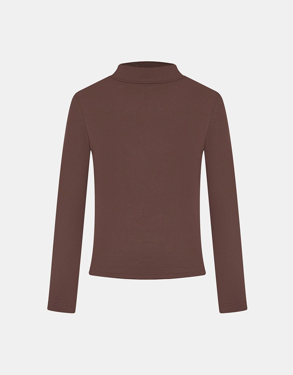 Minimalistic Solid Turtle Neck Fitted Top