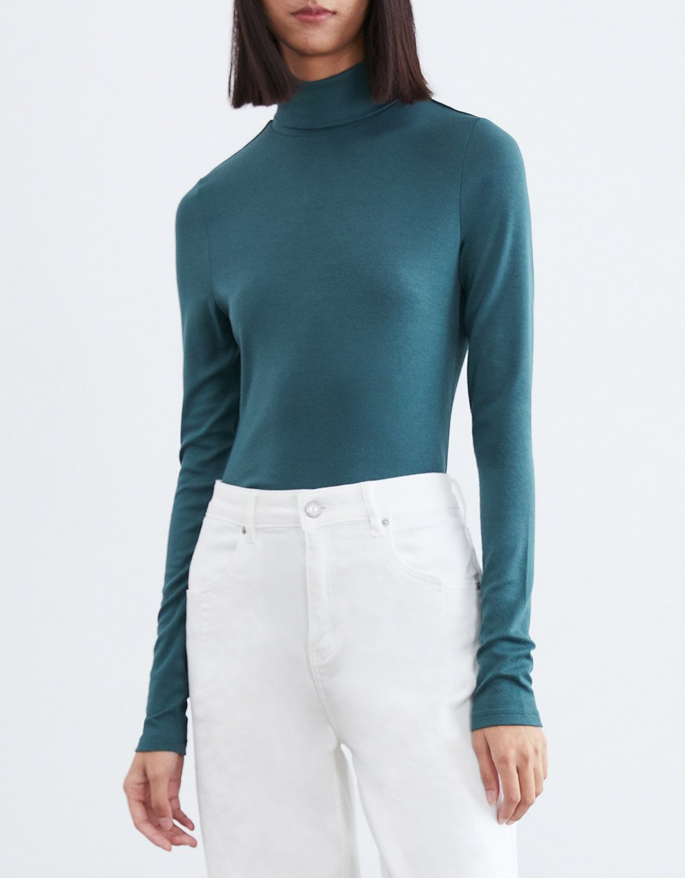 Minimalistic Solid Turtle Neck Fitted Top