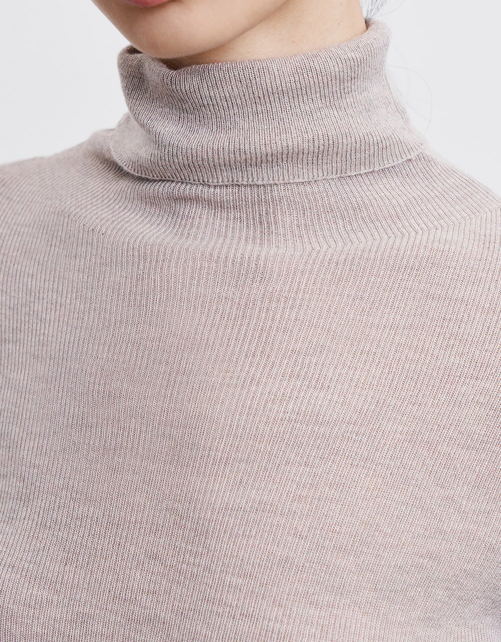 Minimalistic Turtle Neck Fitted Knit Top