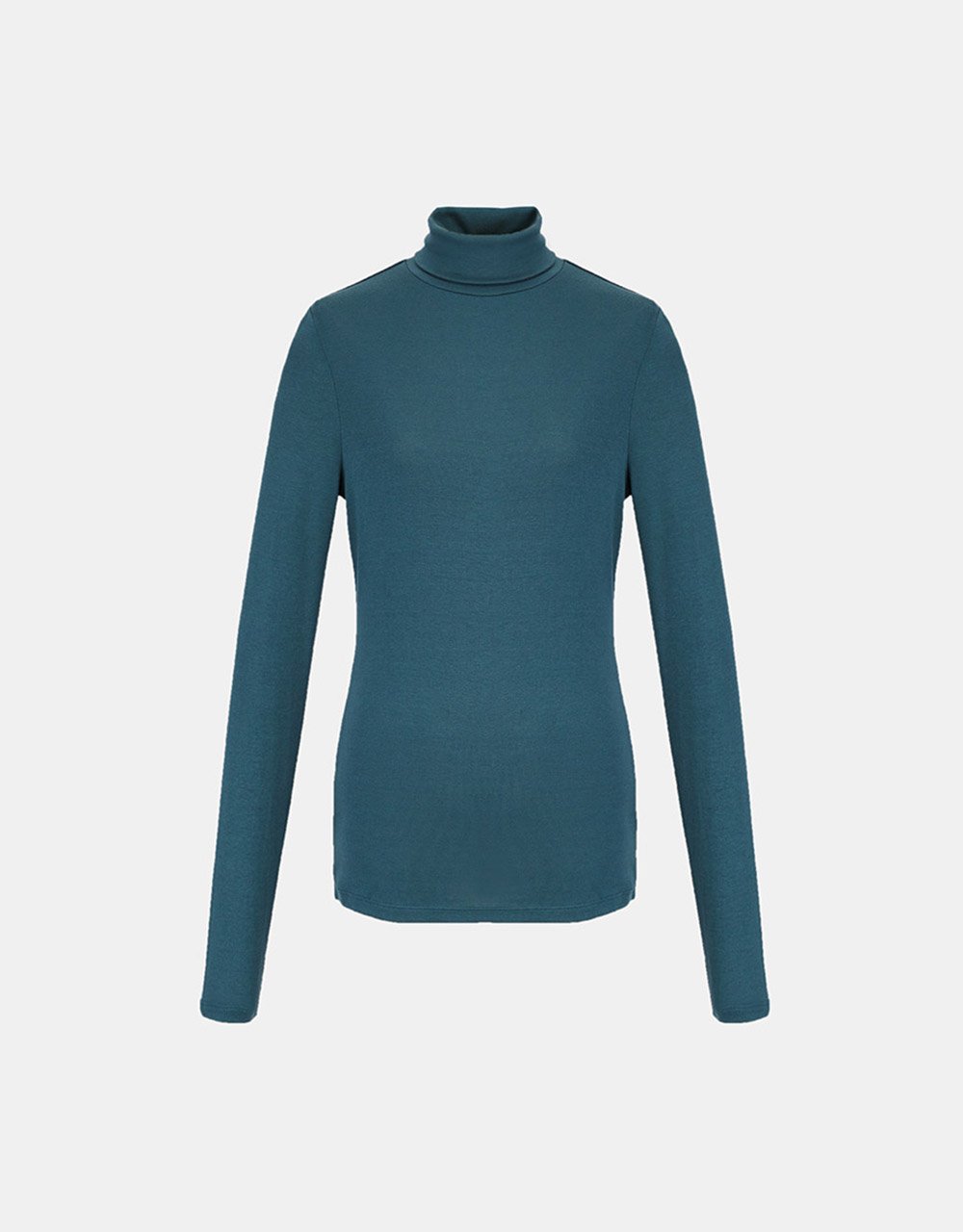 Minimalistic Solid Turtle Neck Fitted Top