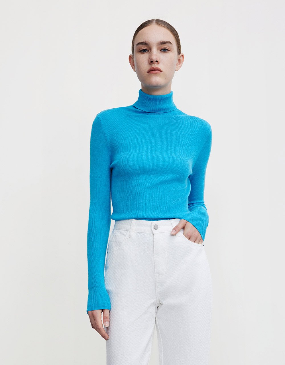 Minimalistic Turtle Neck Fitted Knit Top