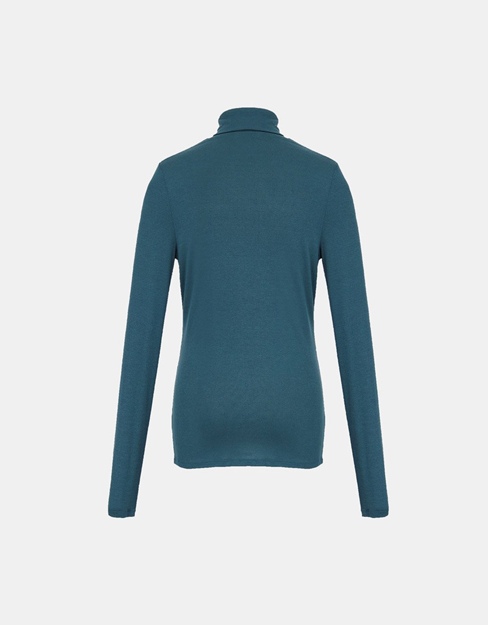 Minimalistic Solid Turtle Neck Fitted Top