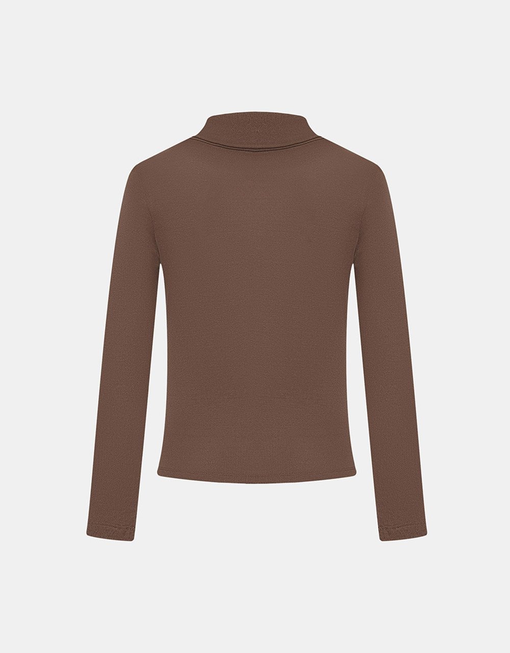 Minimalistic Solid Turtle Neck Fitted Top