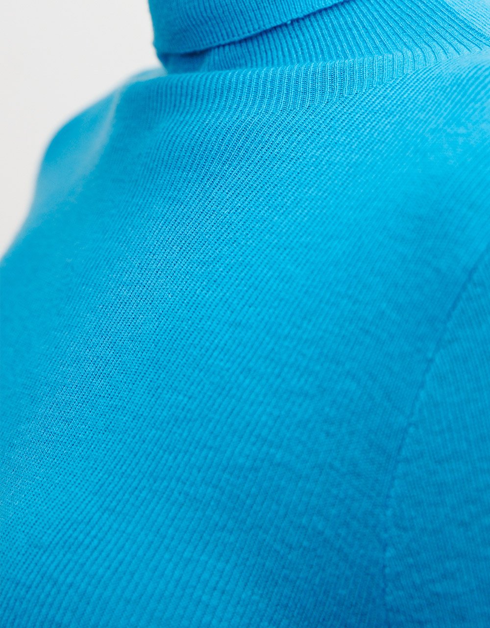 Minimalistic Turtle Neck Fitted Knit Top