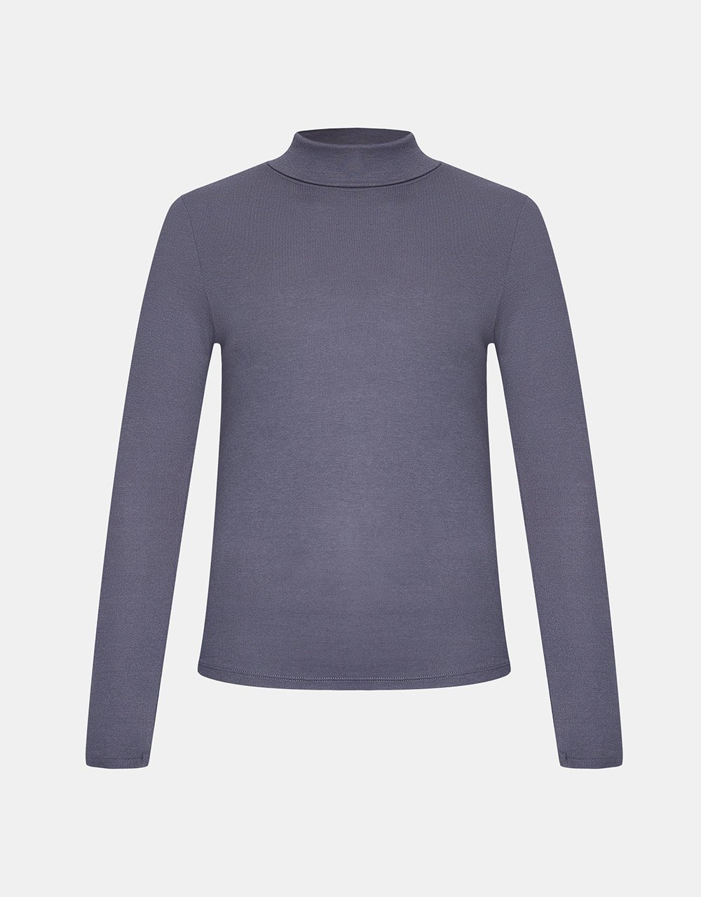 Minimalistic Solid Turtle Neck Fitted Top