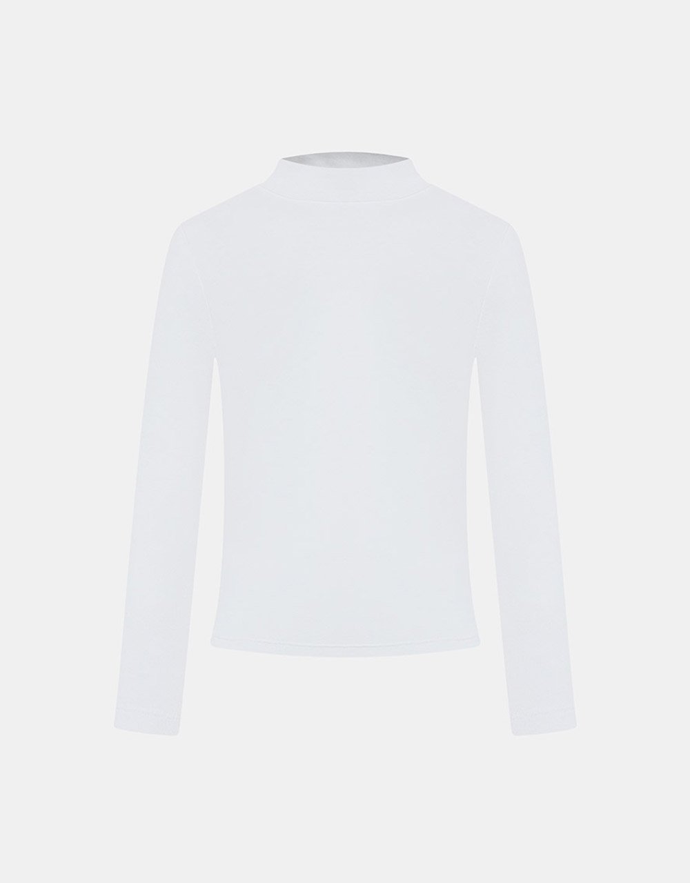Minimalistic Solid Turtle Neck Fitted Top