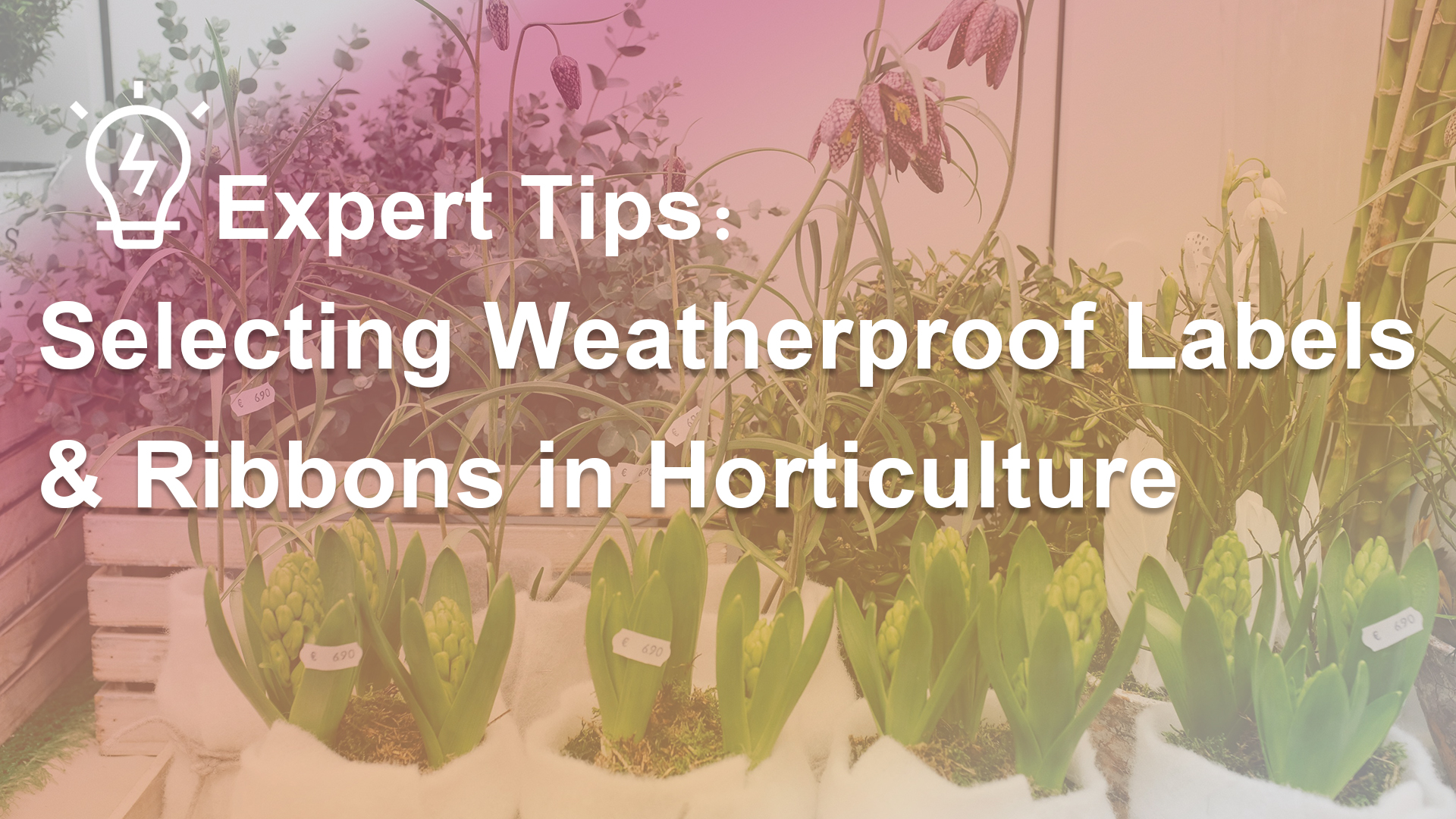 Expert Tips on Selecting Weatherproof Labels & Ribbons in Horticulture