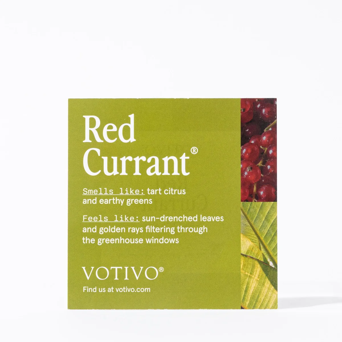 Fragrance Sample Kit