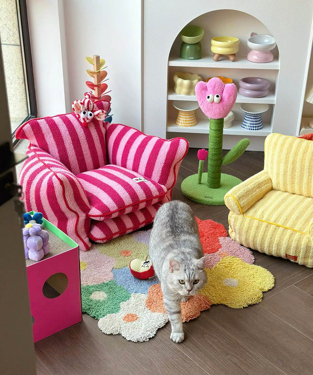 Cat pet friendly apartments