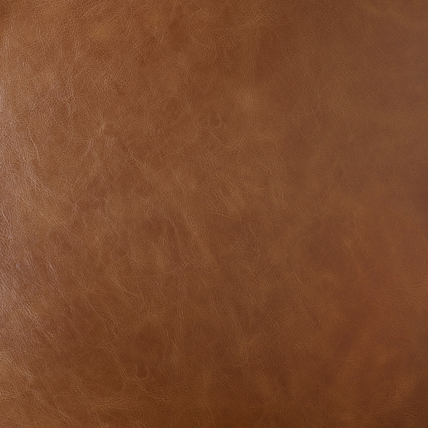 Tyler Bi Cast Leather Molded Office Chair