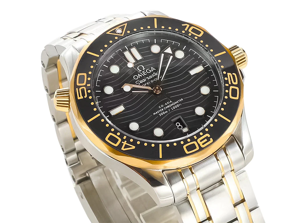 Seamaster Diver 300 Two Tone with Black Dial (42mm)