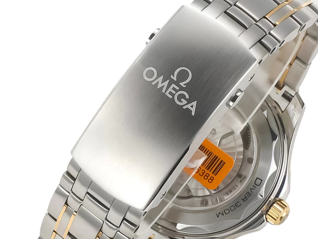 Seamaster Diver 300 Two Tone with Black Dial (42mm)