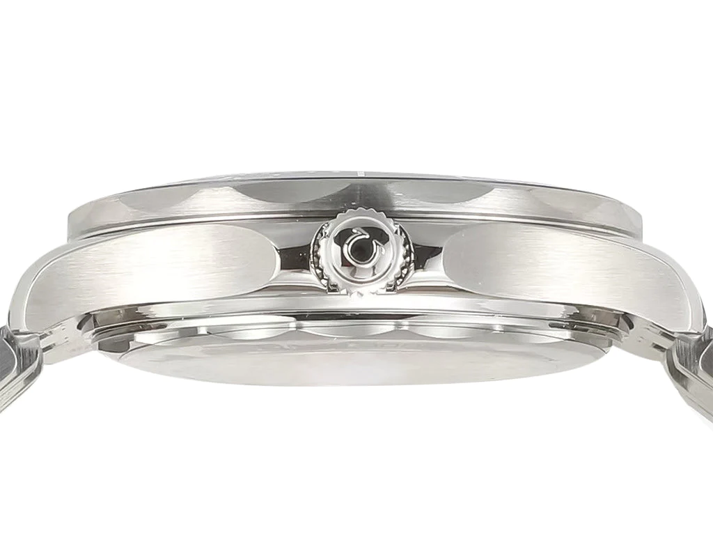 Seamaster Diver 300 Stainless Steel with Silver Dial (42mm)