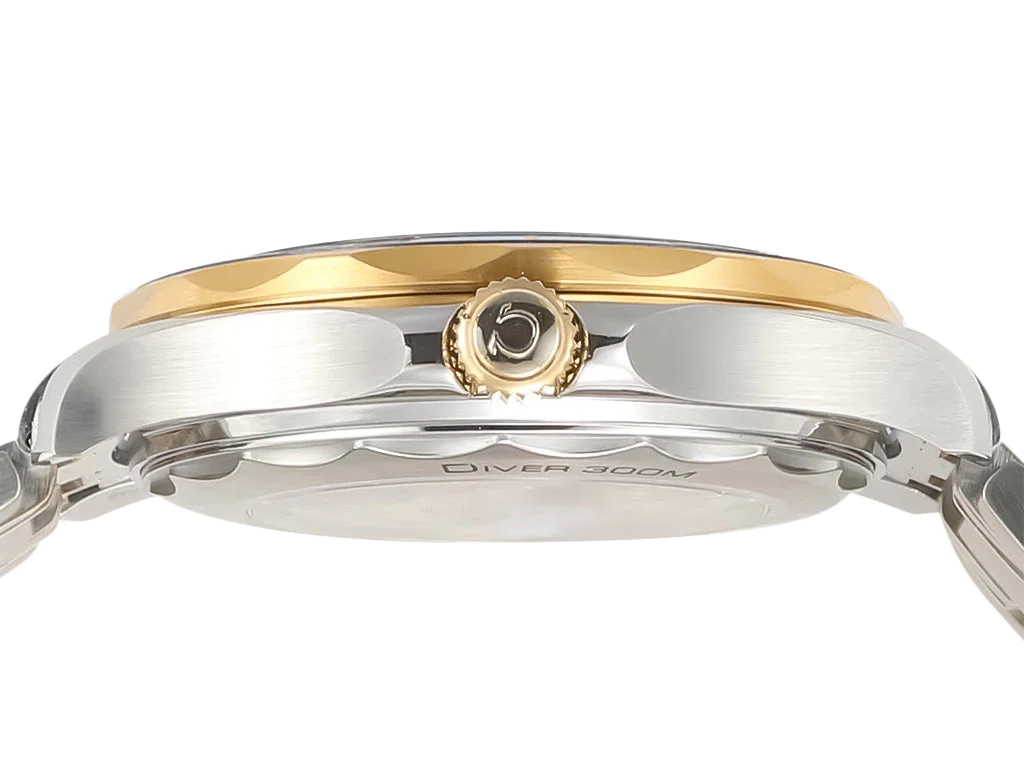 Seamaster Diver 300 Two Tone with Black Dial (42mm)