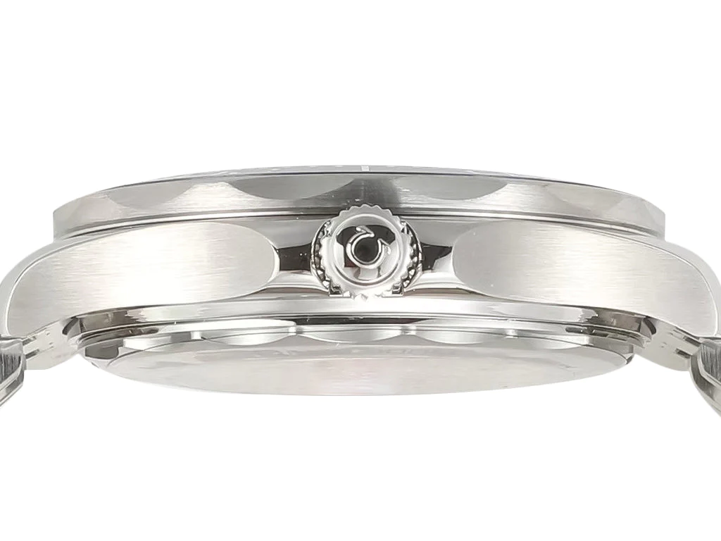 Seamaster Diver 300 Stainless Steel with Black Dial (42mm)