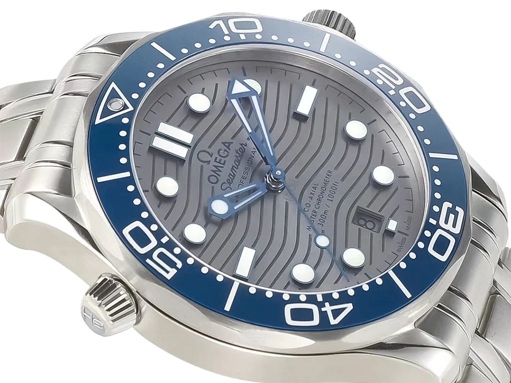 Seamaster Diver 300 Stainless Steel with Silver Dial (42mm)