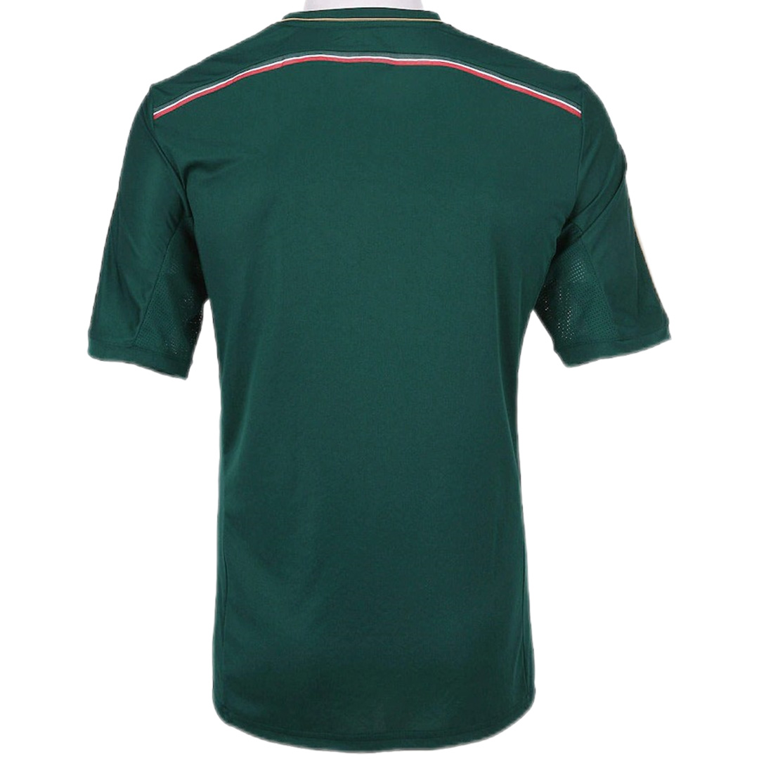 Retro Palmeiras 100th Anniversary Jersey 2014/15