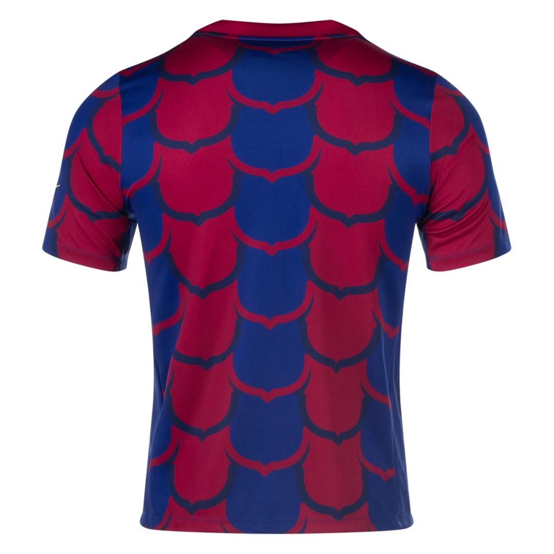 Barcelona Pre Match Training Special Edition Jersey 2023/24