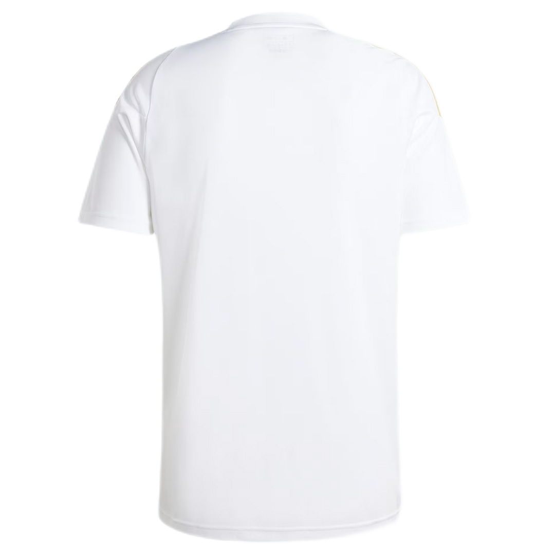 Messi Pitch 2 Street Training Jersey