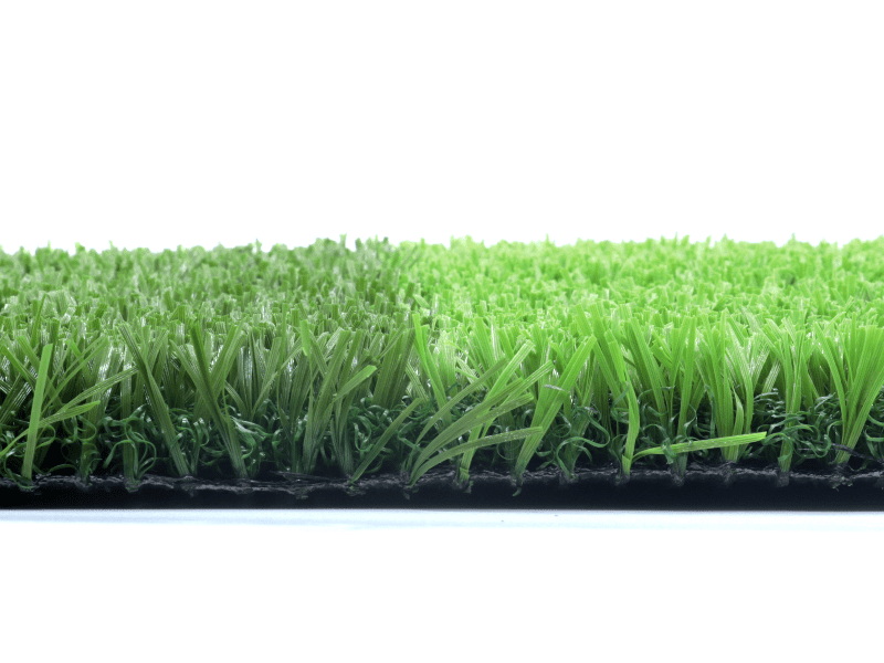 Frizzy Green PLUS11/44